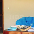 Harmony Beach Bungalows