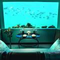 Ozen Life Maadhoo