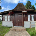 Image 20