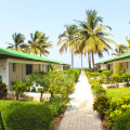 Image 12