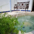Image 15
