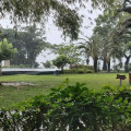 Image 36