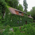 Image 20
