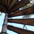 Frangipani Beach Villa