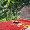 Bucu View Resort