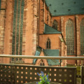 Image 15