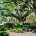 Shangri-La's Rasa Sayang Resort & Spa