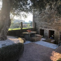 Image 13