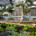 Sun & Sands Beach Hotel