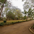 Image 18
