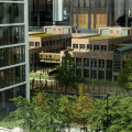 Image 32