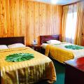 Single Tree Hotel