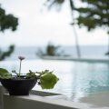Nest Sense Resort