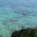 Image 15