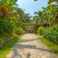 Sailing Club Resort Mui Ne