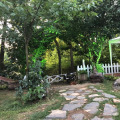 Image 15