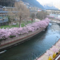 Image 31