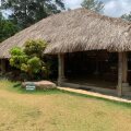 Madulkelle Tea And Eco Lodge