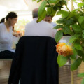 Image 22