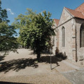 Image 14