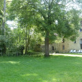 Image 13