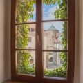 Image 8