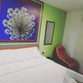 Swiss Cottage Hotel