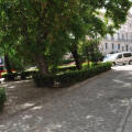 Image 15