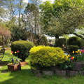 Image 15