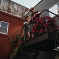 Image 15