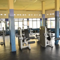 Image 22