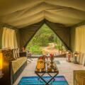 Mahoora Tented Safari Camp - Udawalawe