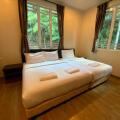 Arundina Cameron Highlands