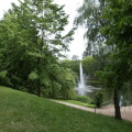 Image 24