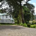 Brockenhurst Bungalow