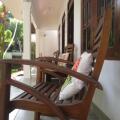 Jungle Holiday Home