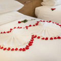Virgo Hotel Nha Trang
