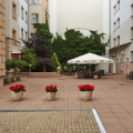 Image 17