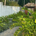 If Villa In Unawatuna