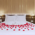 Seana Hotel Nha Trang