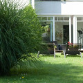 Image 26