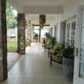 Image 15