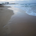 Image 15