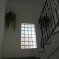 Image 13
