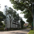 Image 13