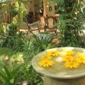 Dionis Villa