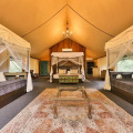 Tribe Yala - Luxury Camping