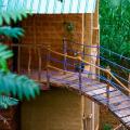 Ella Eco Lodge