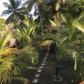 Coconut Island