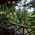 Sepilok Forest Edge Resort